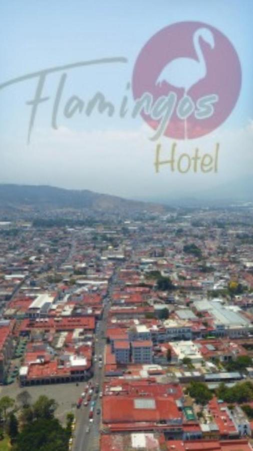 Hotel Flamingos De 시우다드구스만 외부 사진